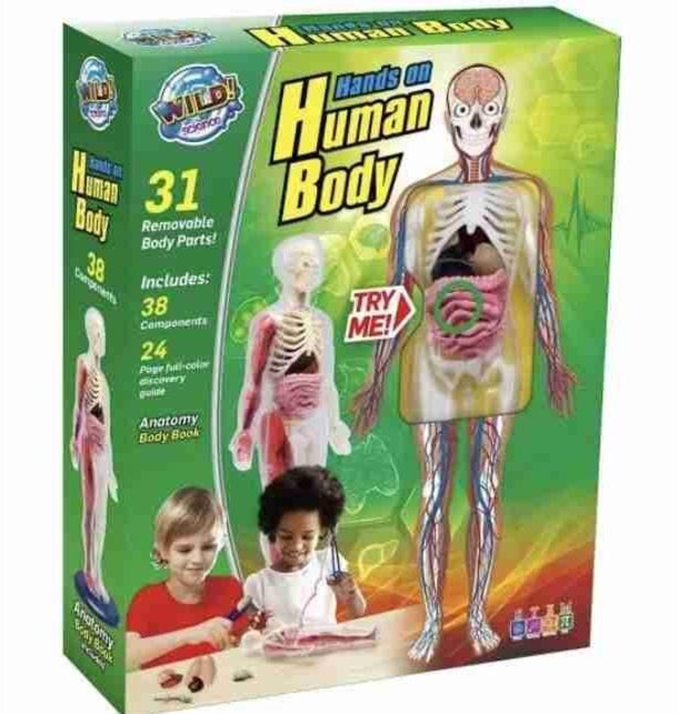 Wild Science - Hands On Human Body Model Science Kit 38 Piece, Anatomy Book STEM